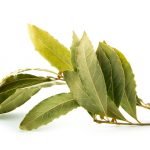 Are Bay Leaves Good for Killing Roaches?