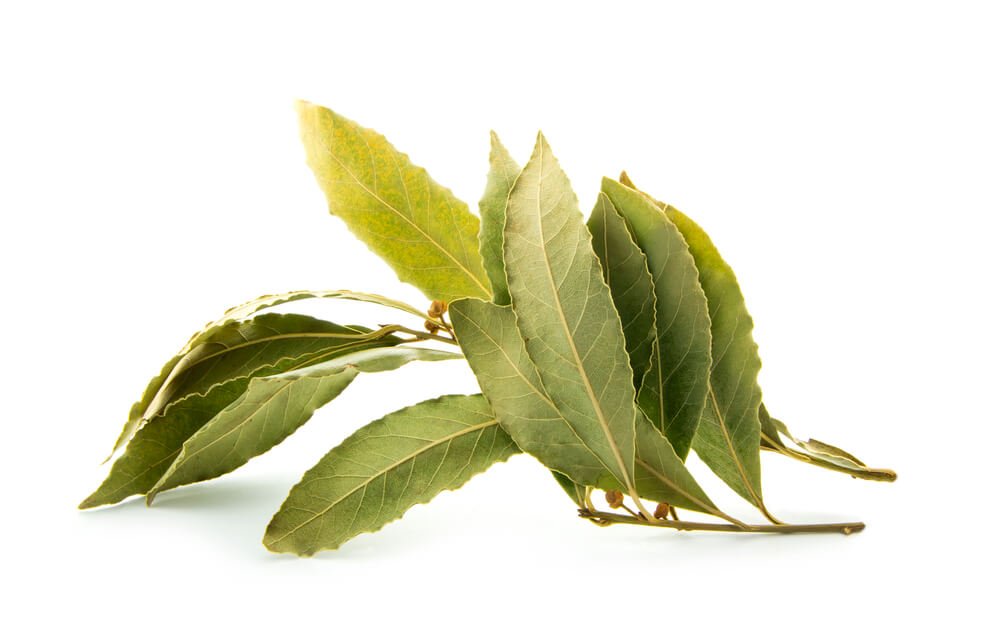 Are Bay Leaves Good for Killing Roaches?