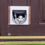 How to Install a Cat Flap in a Screen Door