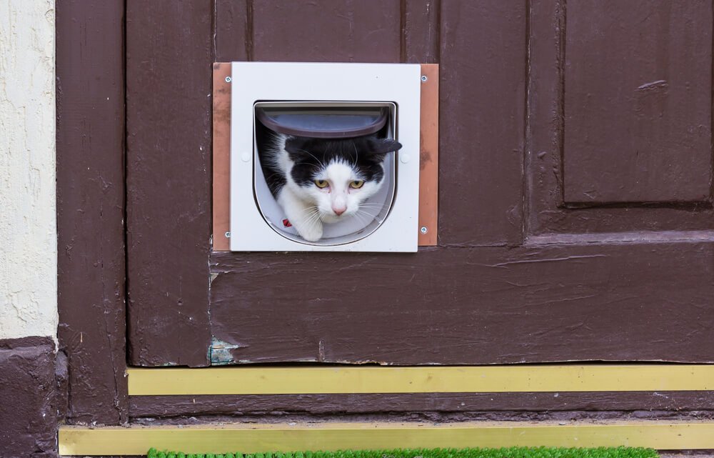 How to Install a Cat Flap in a Screen Door