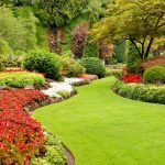 How to Make Your Front Yard Look Nice