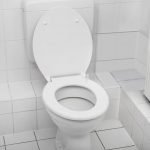 How to Unclog a Toilet Without a Plunger or Snake