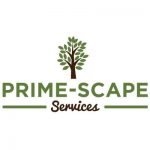 Prime-Scape Services - tree service clearwater