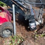Stump Grinding Vs Stump Removal