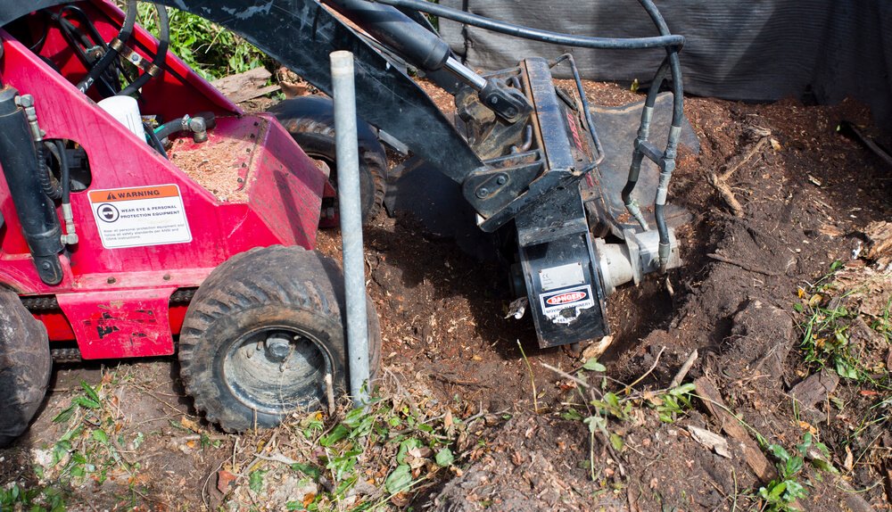 Stump Grinding Vs Stump Removal