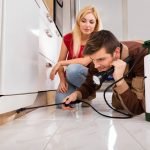 What Chemical Kills Termites