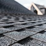 What Is Roof Algae and How Do I Fix It?