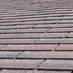 What Types of Shingles Last the Longest?