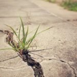 What to Use to Fill Cracks in a Concrete Driveway