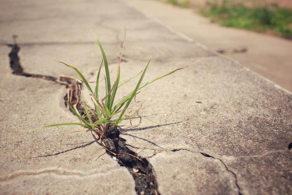 What to Use to Fill Cracks in a Concrete Driveway