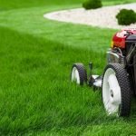 lawn